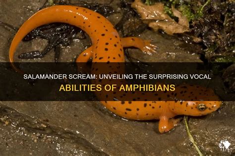  Salamander:  Unveiling the Secrets of this Enigmatic Amphibian with Regenerative Abilities!